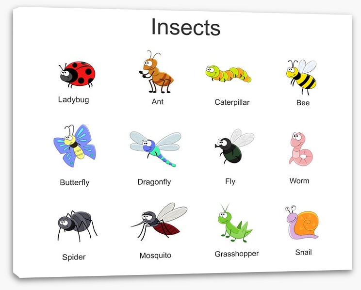 Happy Critters