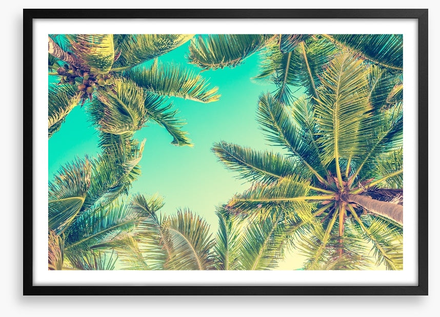 Under the palms