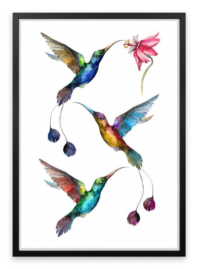 Birds