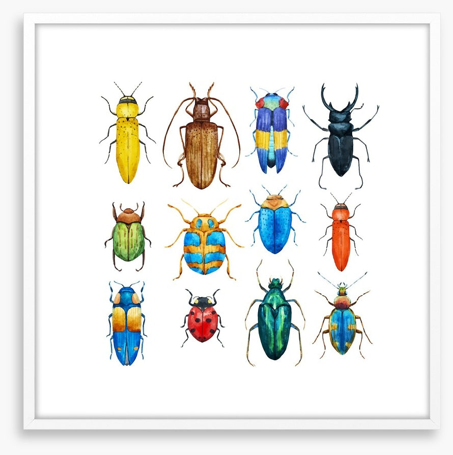 Beetle bugs