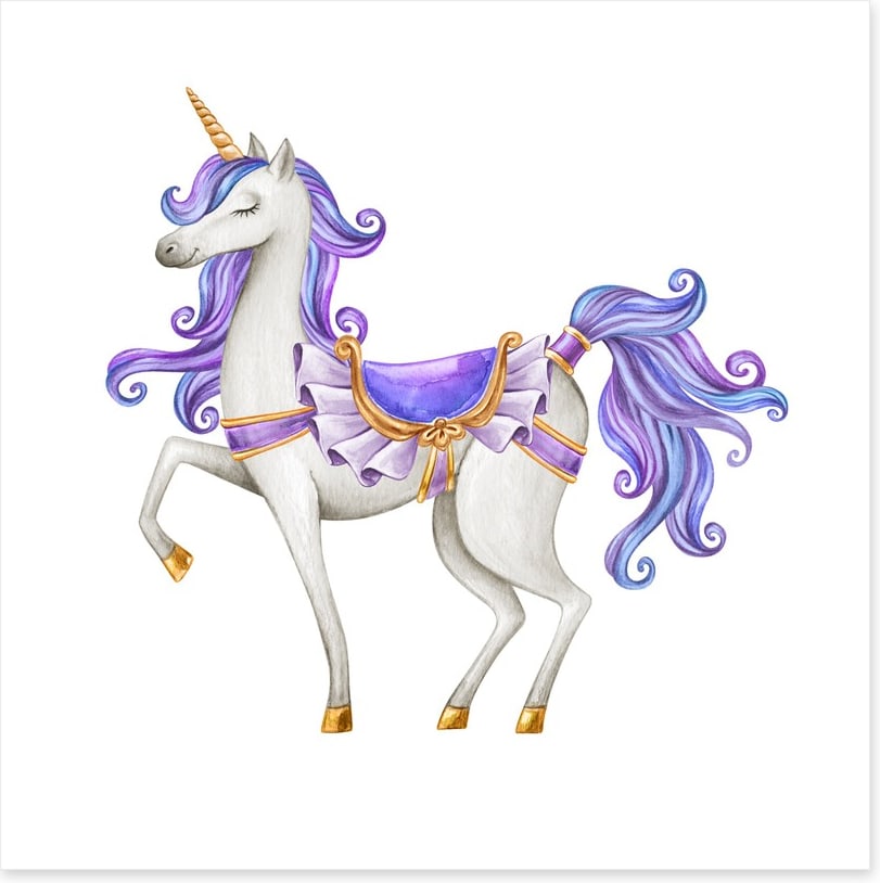 Princess unicorn