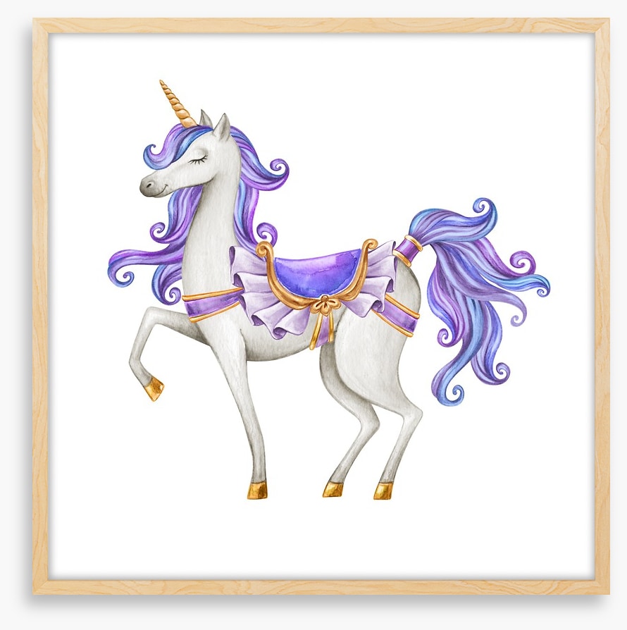 Princess unicorn