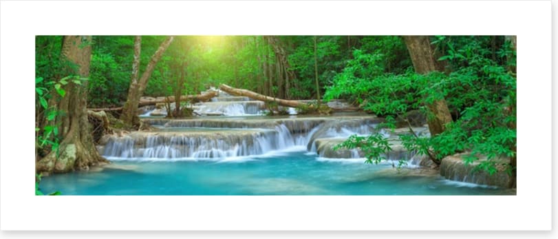 Forest falls panorama