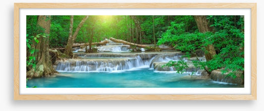 Forest falls panorama