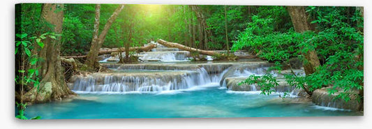 Forest falls panorama