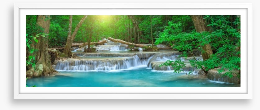 Forest falls panorama