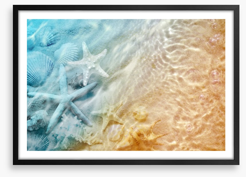 Sandy sea life