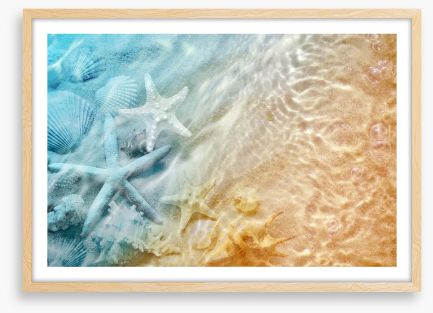 Sandy sea life