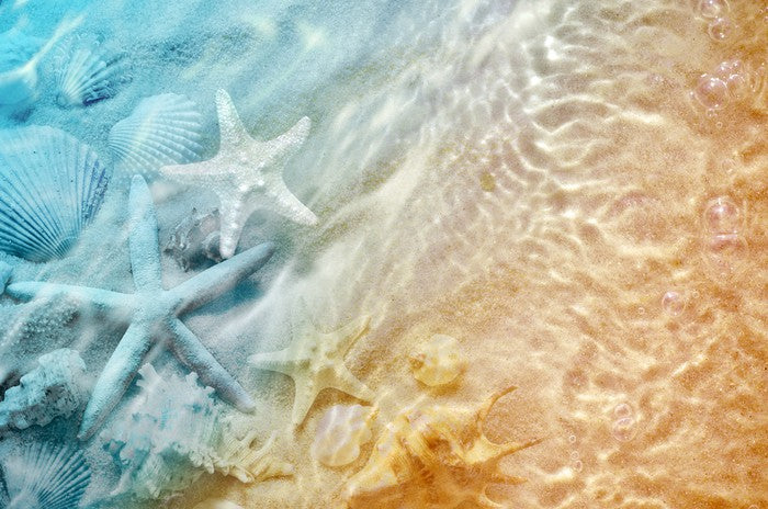Sandy sea life