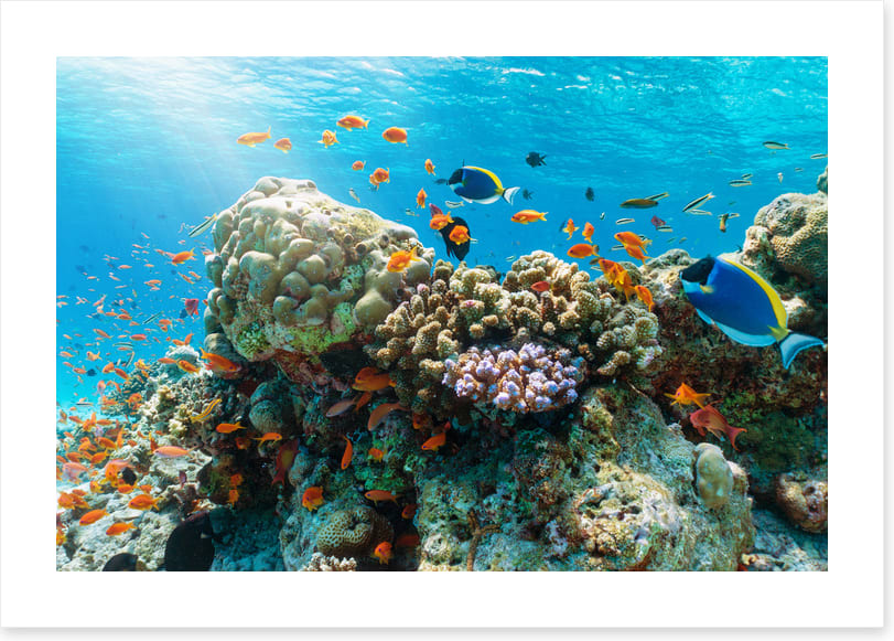 Underwater