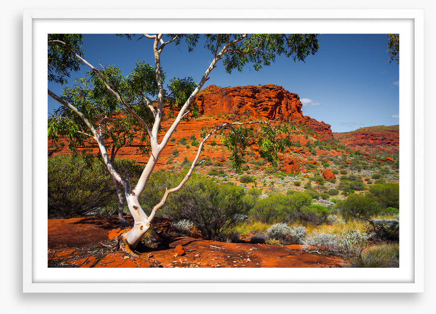 Outback afternoon
