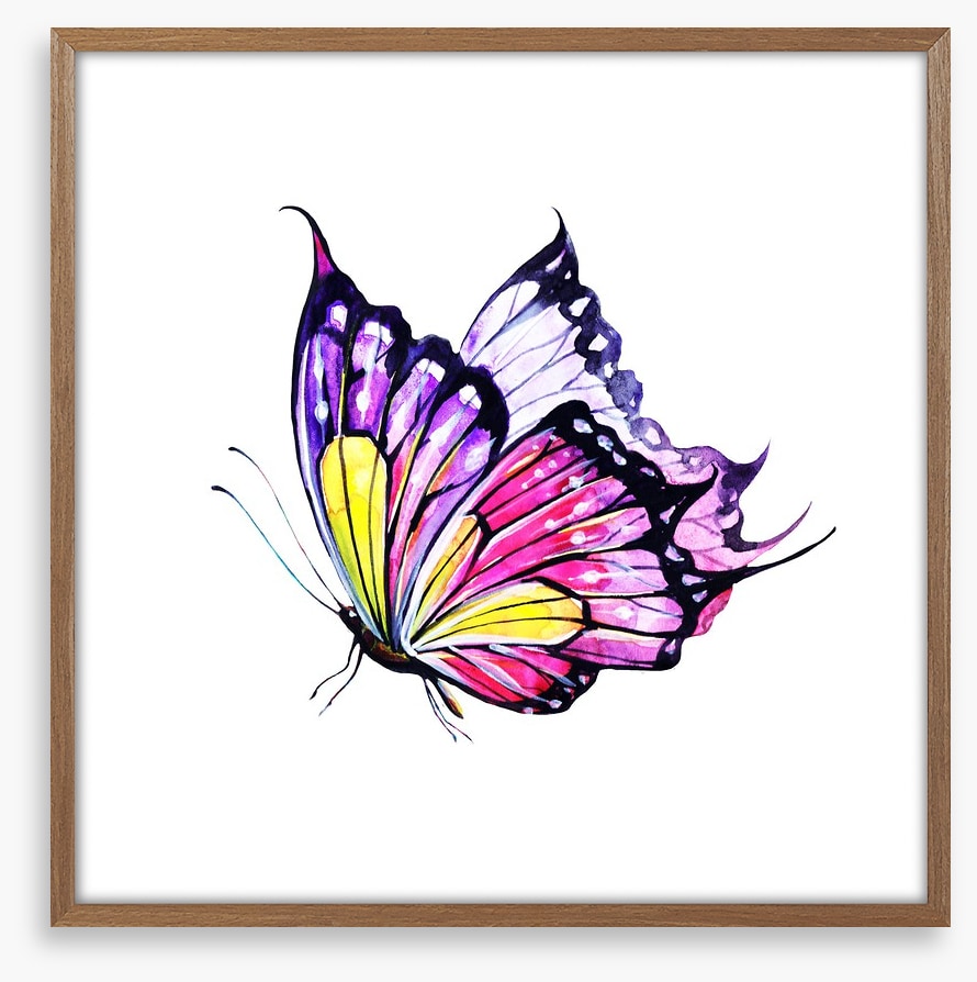 Violet flutter