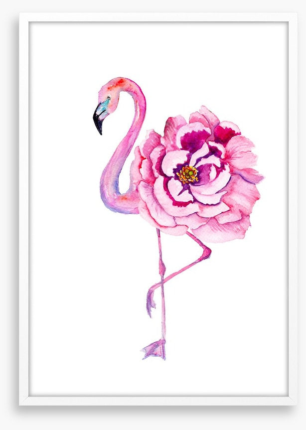 Flamingo bloom