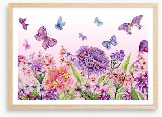 Butterflies in the iberis