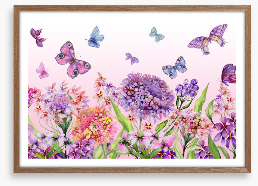 Butterflies in the iberis
