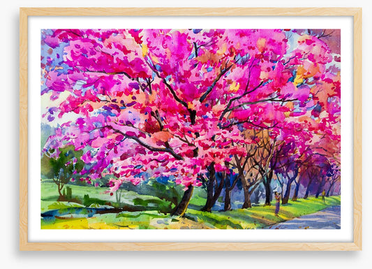 Cherry blossom parade