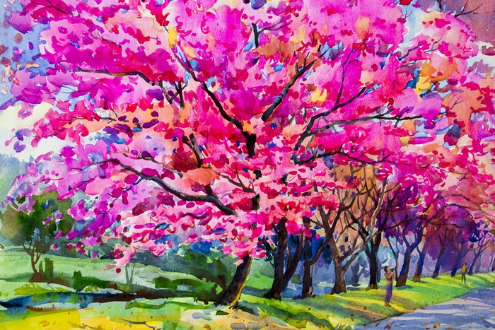 Cherry blossom parade