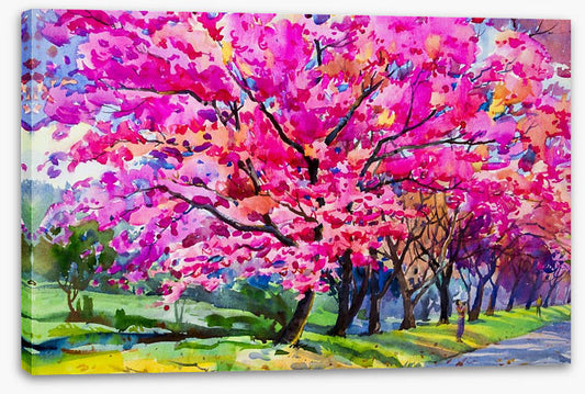 Cherry blossom parade