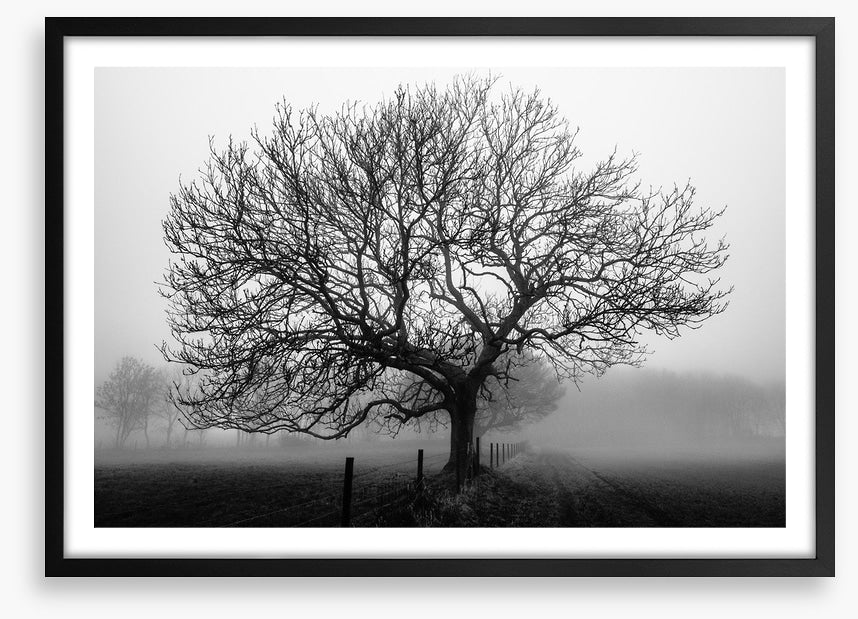 Bare bones