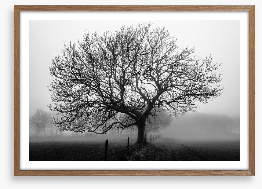 Bare bones