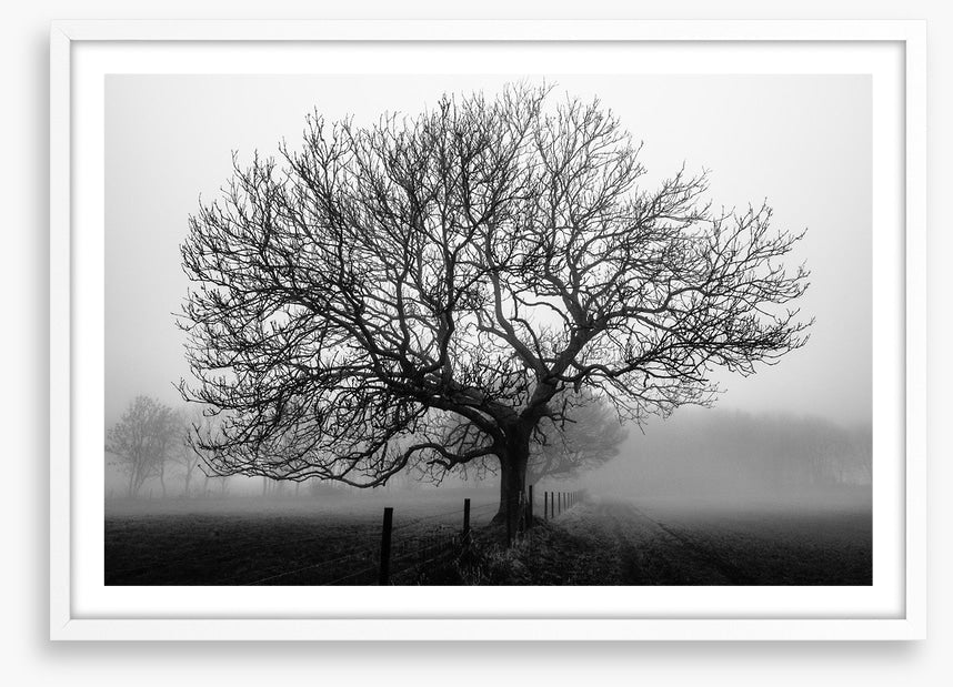 Bare bones