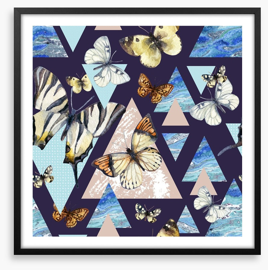 Flutter by night
