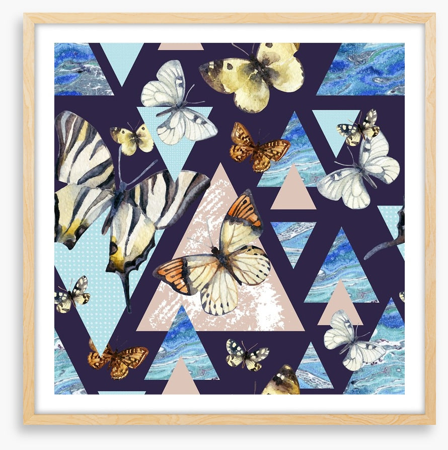 Flutter by night