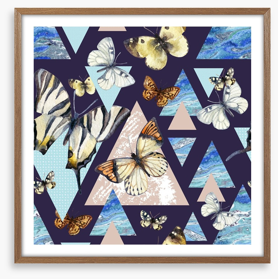 Flutter by night