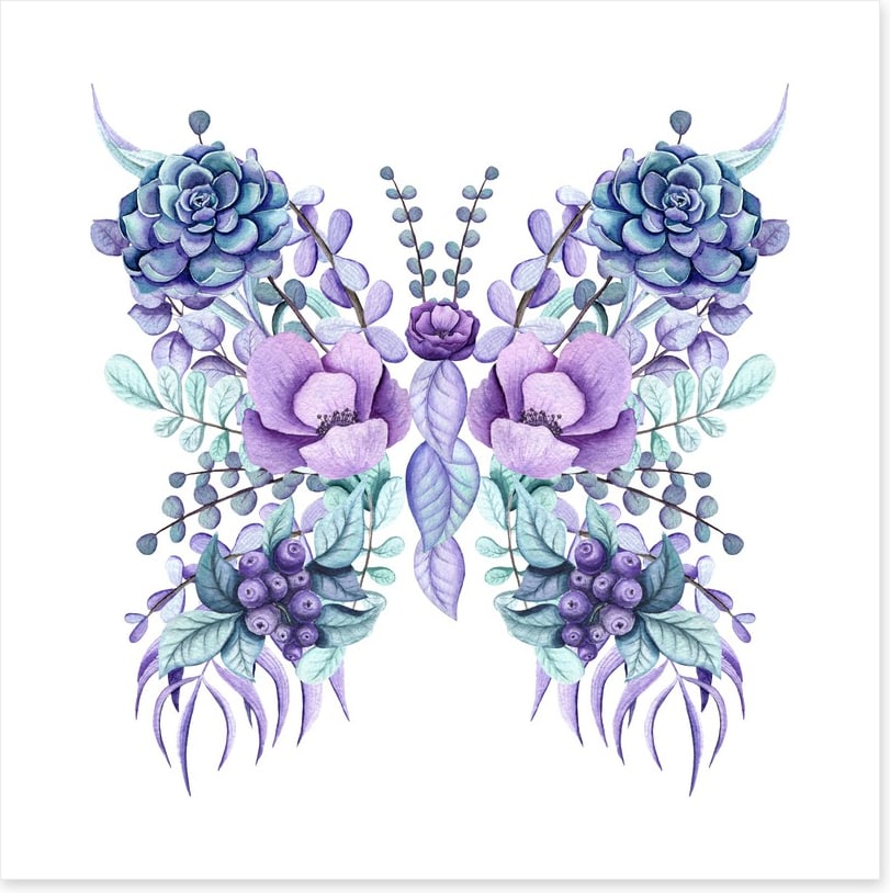 Succulent butterfly