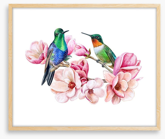 Humming in the magnolia