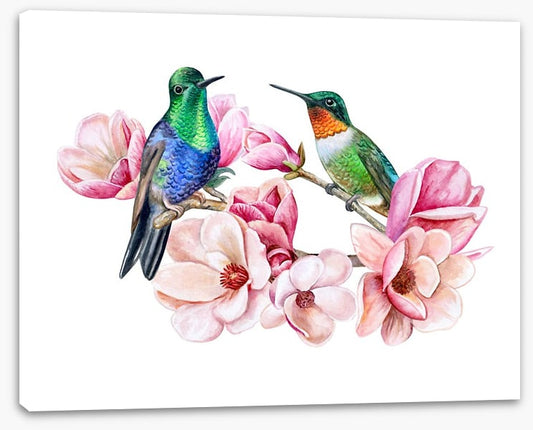 Humming in the magnolia