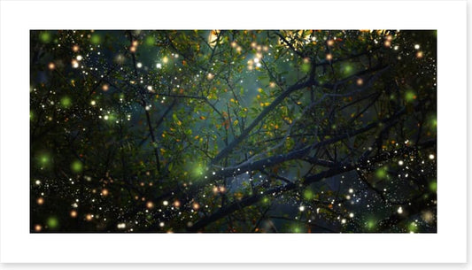 In the firefly forest