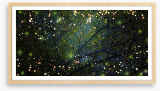 In the firefly forest