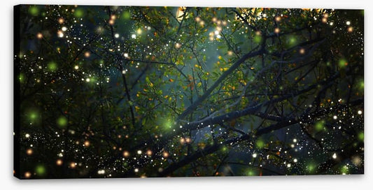 In the firefly forest