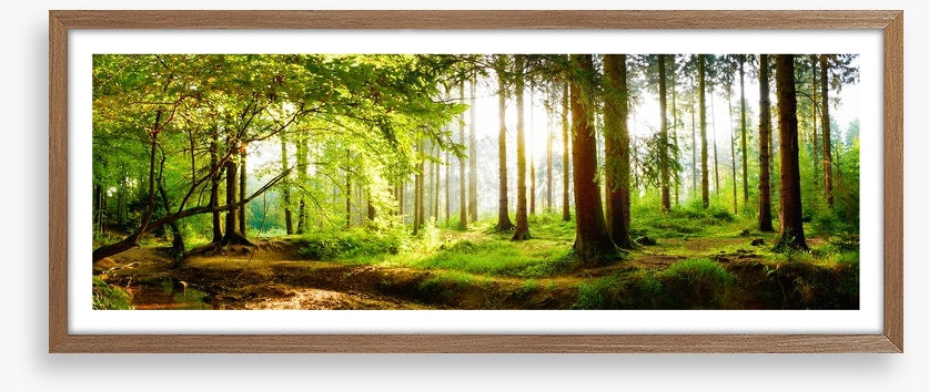 Idyll light