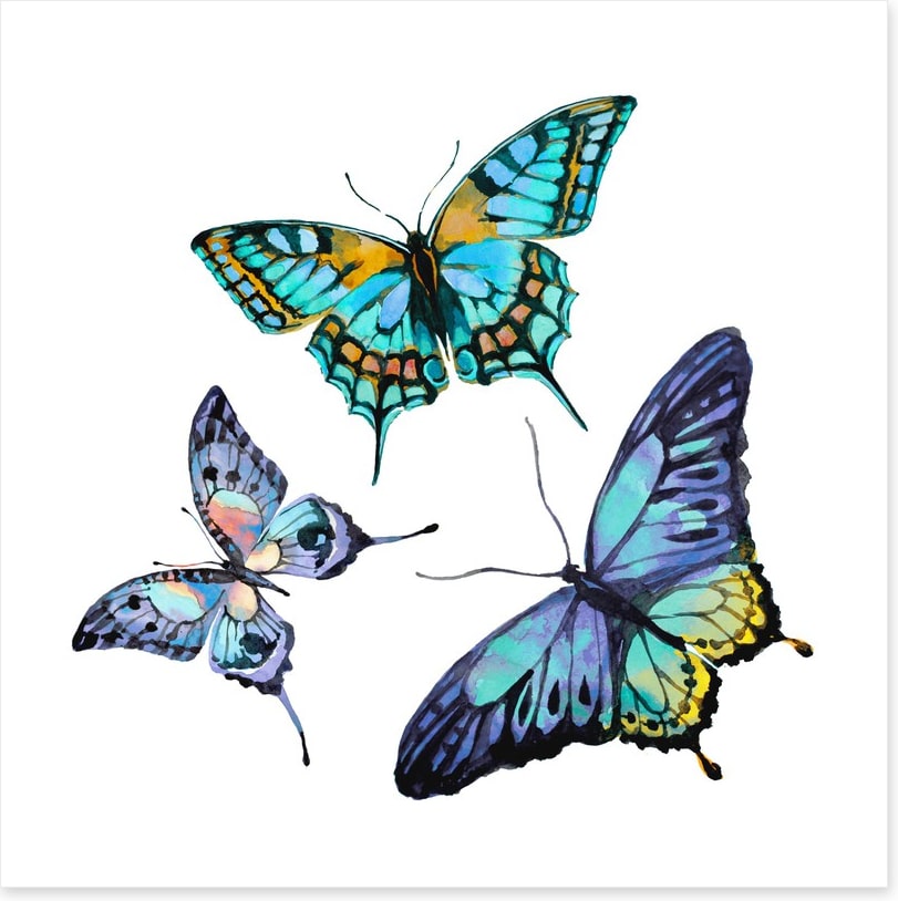 Butterflies