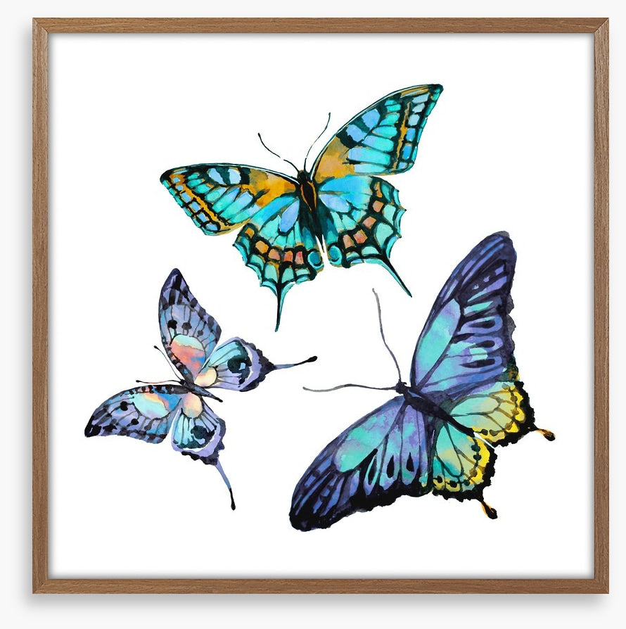 Butterflies