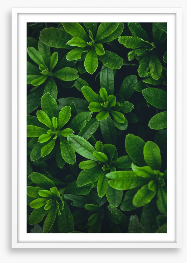 Deep green garden
