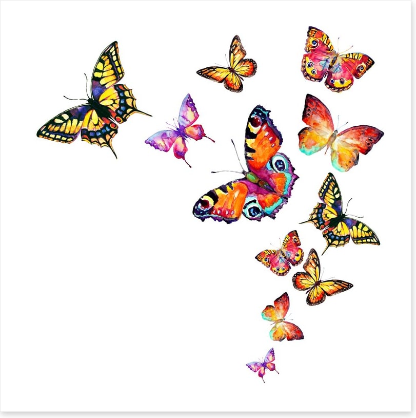 Butterflies