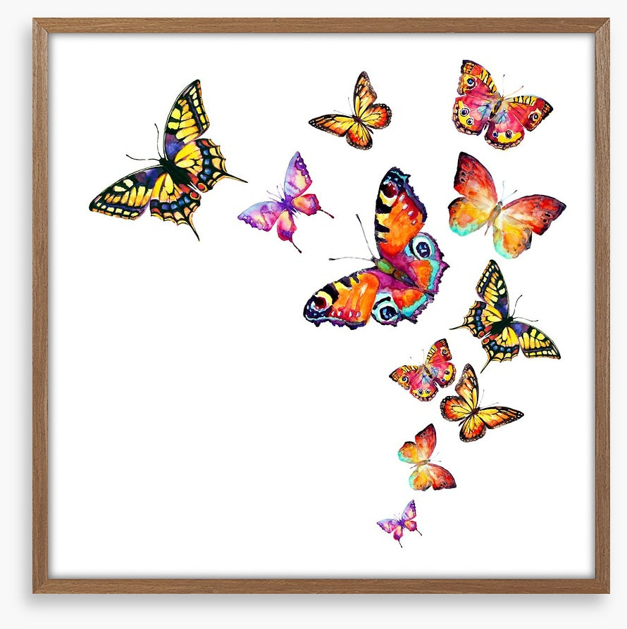 Butterflies