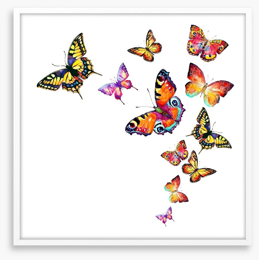 Butterflies