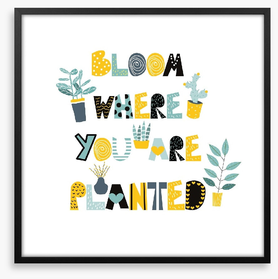 Where you are planted