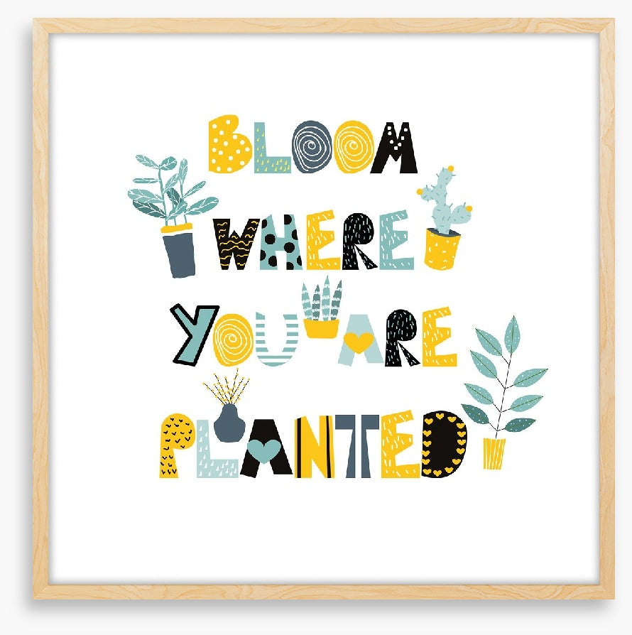 Where you are planted
