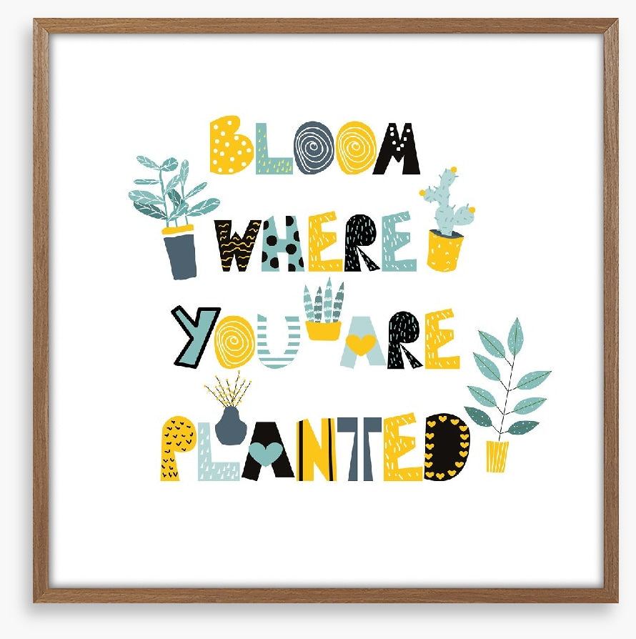 Where you are planted