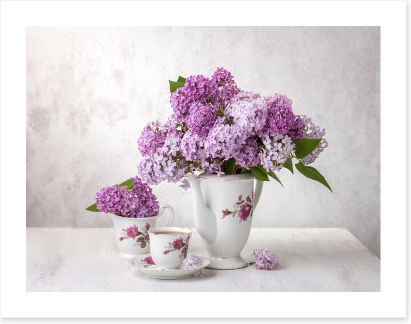 Lilac tea time