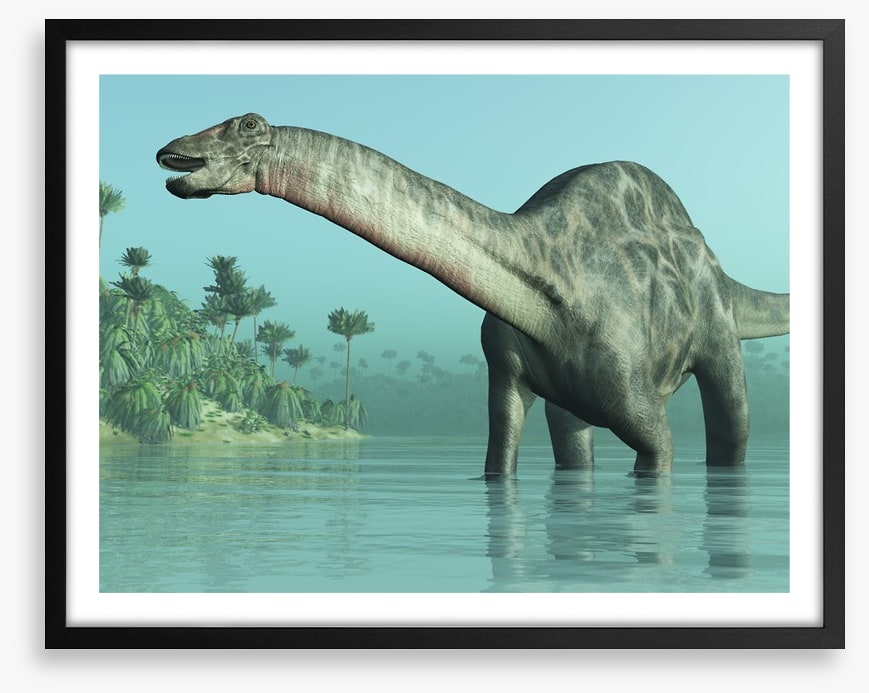 Dicraeosaurus paddle