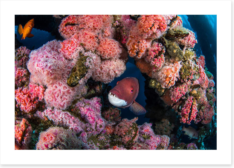 Underwater