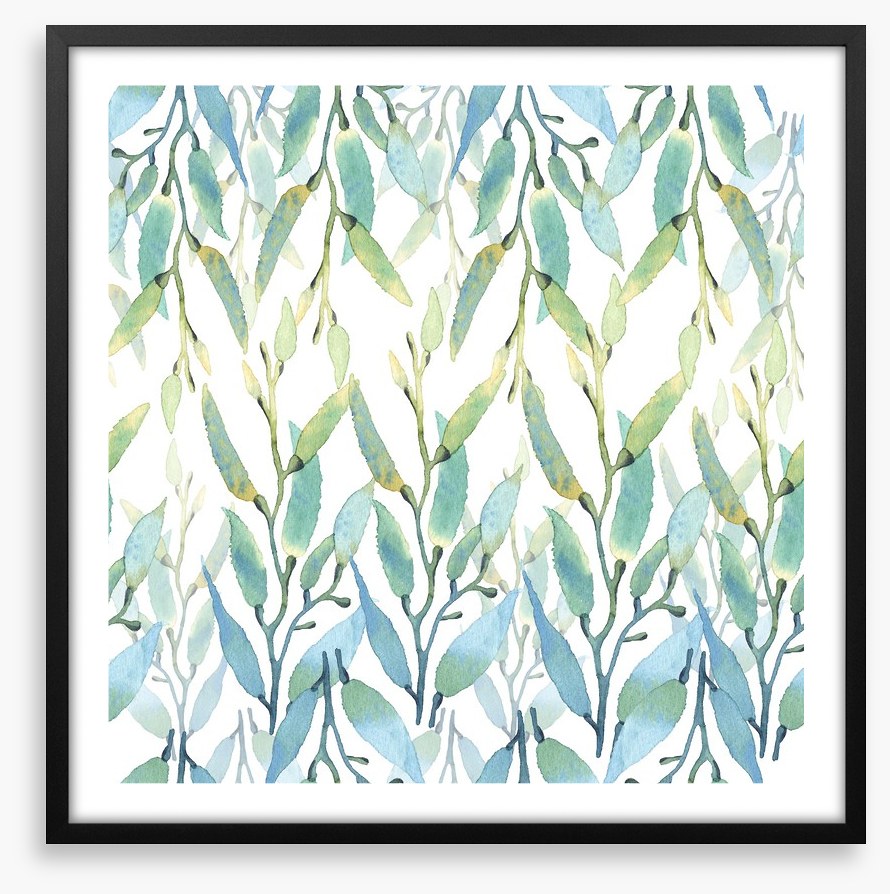 Seaweed sunlight