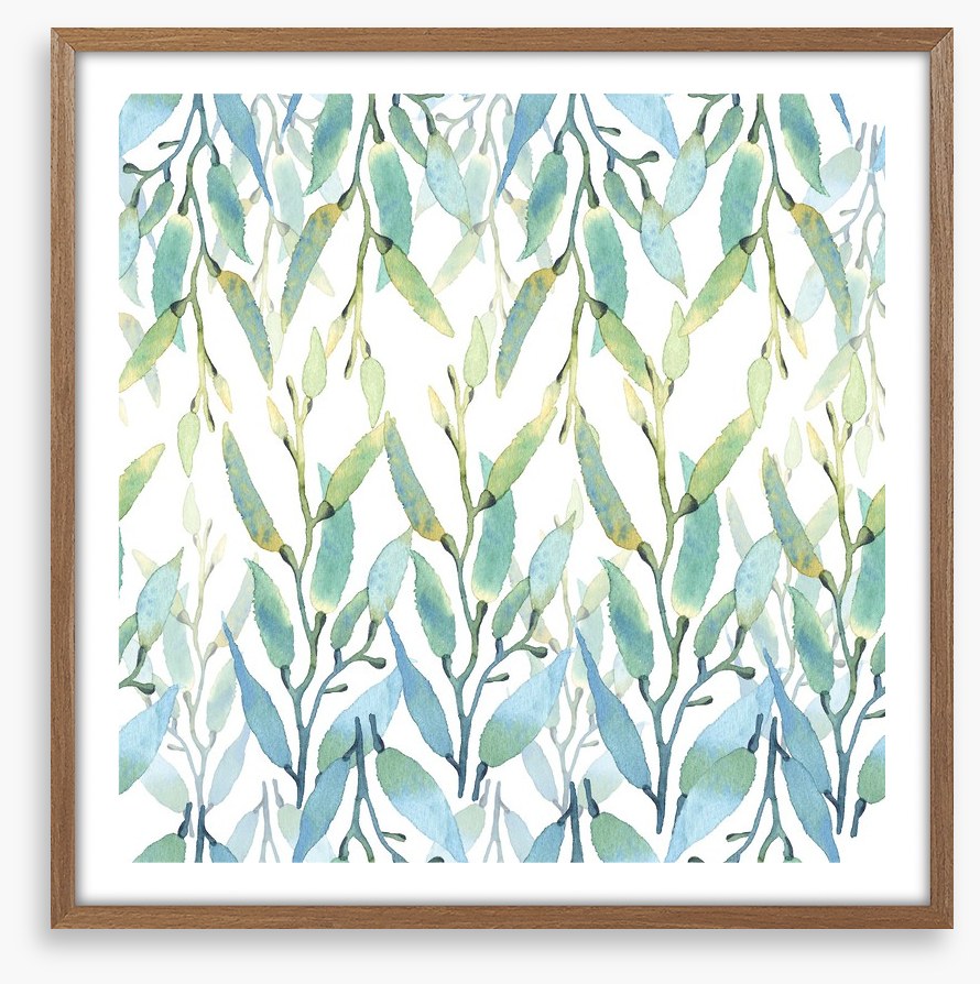 Seaweed sunlight
