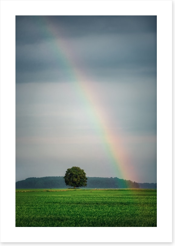 Rainbows